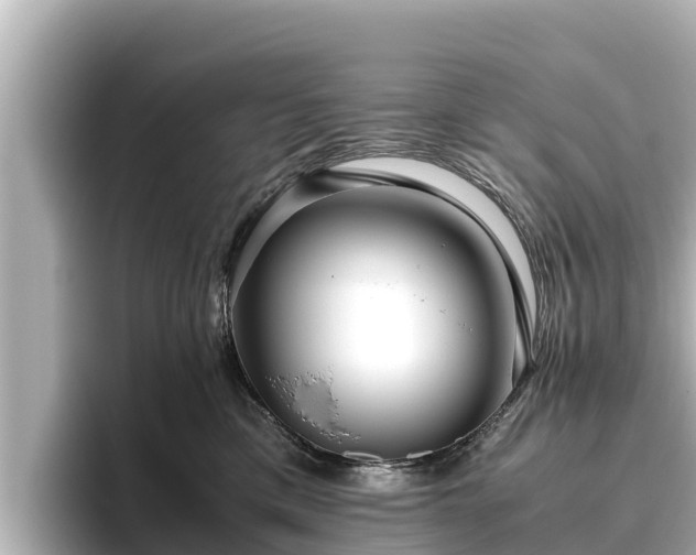 X0000096420425200801311416