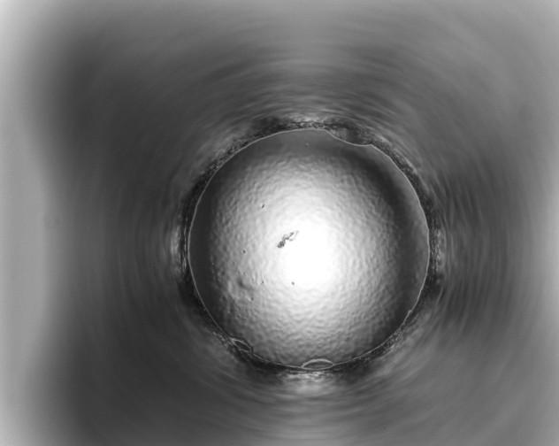 X0000096420428200801311416