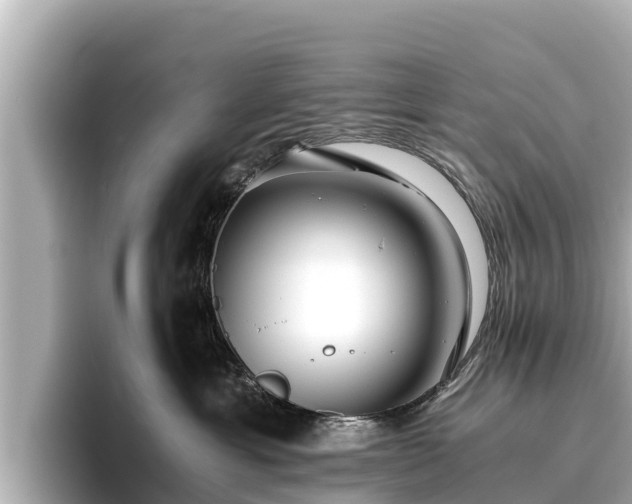 X0000096420429200801311416