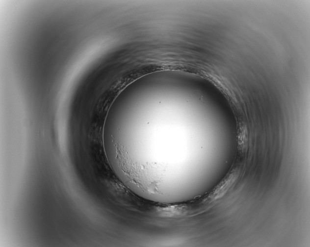 X0000096420430200801311416