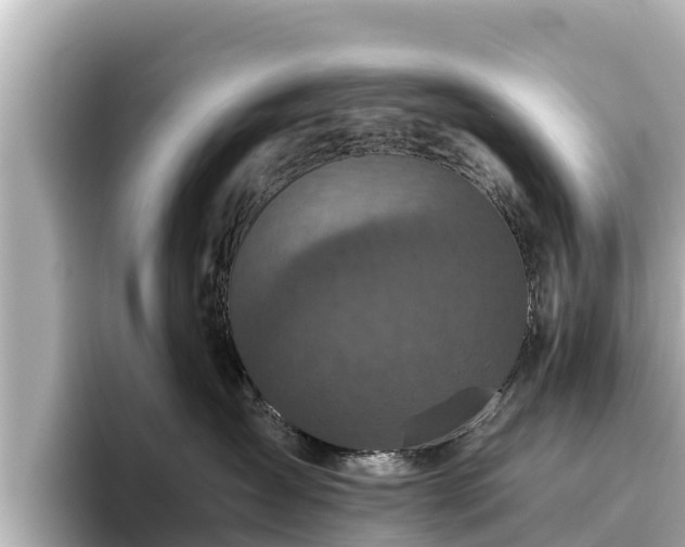 X0000096420431200801311416