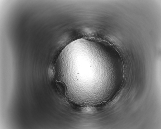 X0000096420432200801311416