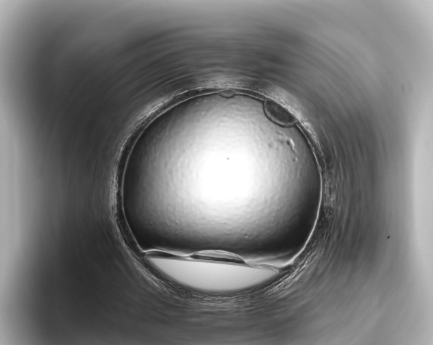 X0000096420437200801311415