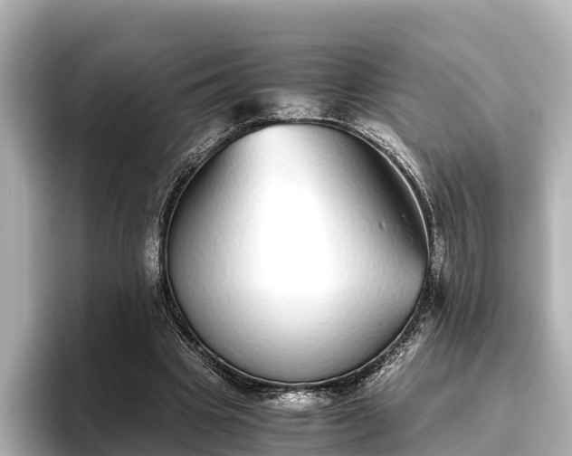 X0000096420441200801311415