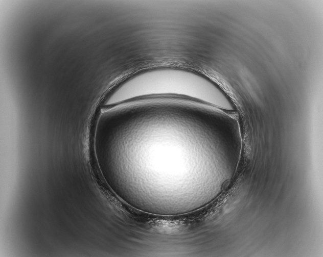 X0000096420442200801311415