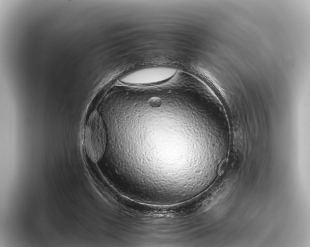 X0000096420443200801311415
