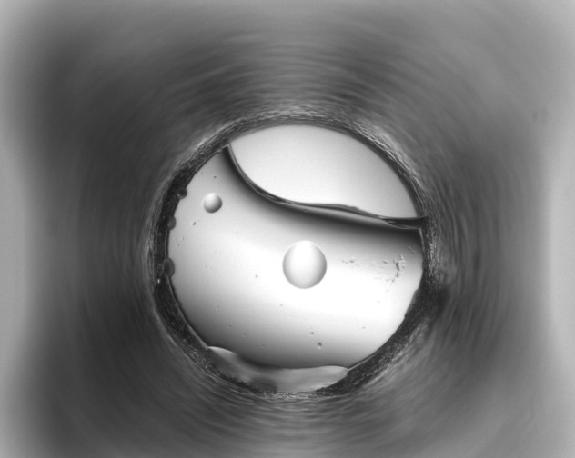 X0000096420444200801311415