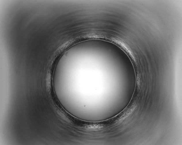 X0000096420445200801311415