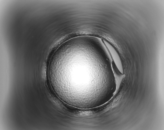 X0000096420446200801311415