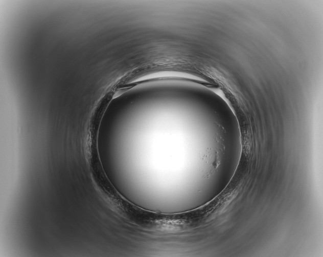 X0000096420448200801311415