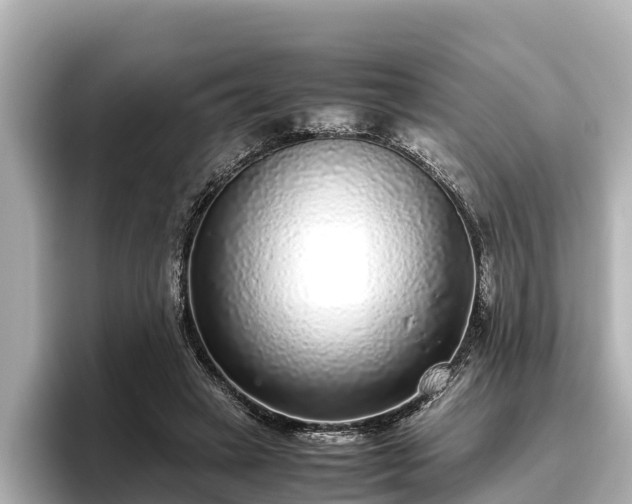 X0000096420449200801311415