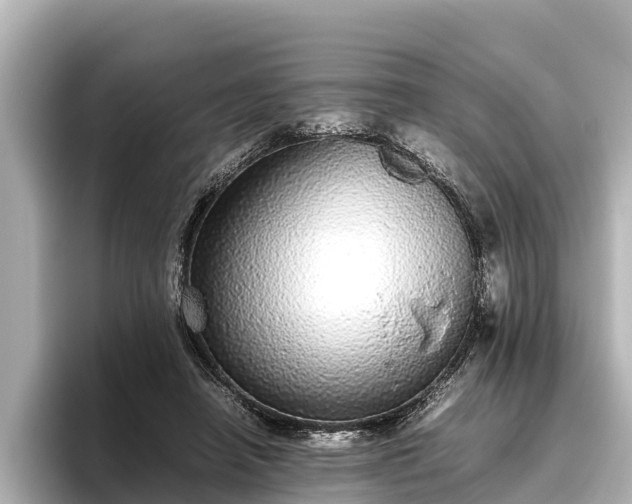 X0000096420450200801311415