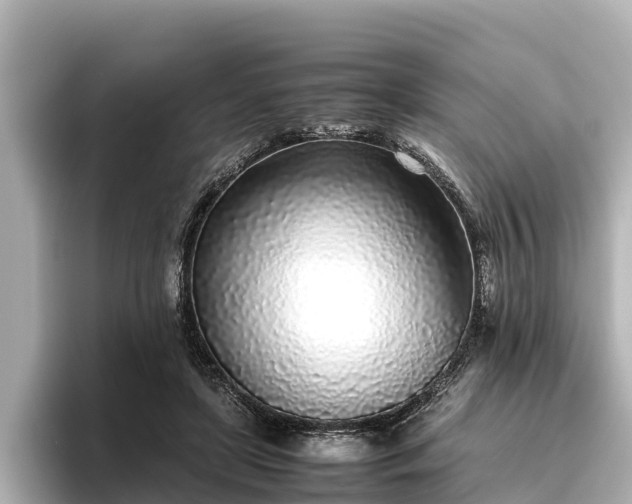 X0000096420451200801311415