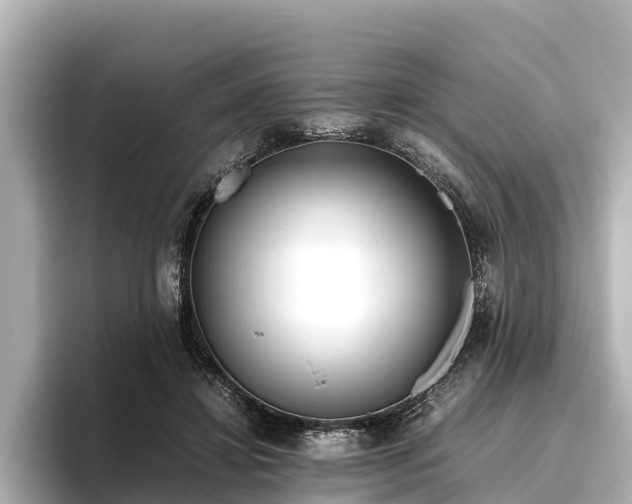 X0000096420452200801311416