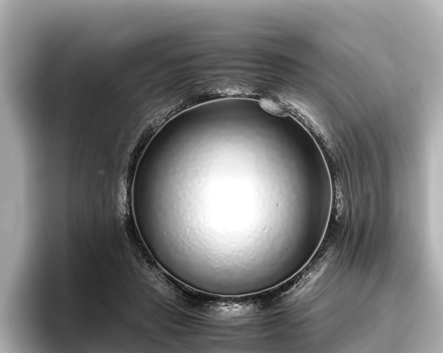 X0000096420453200801311416