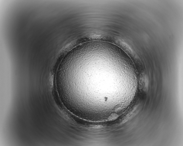 X0000096420454200801311416