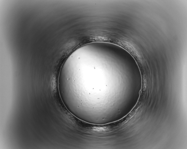 X0000096420457200801311416