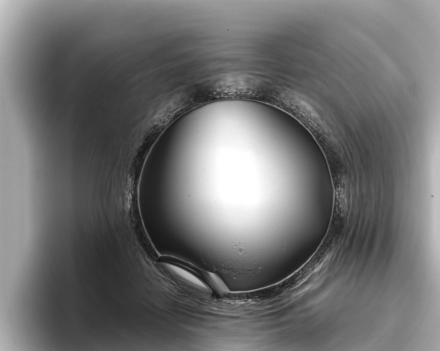 X0000096420458200801311416