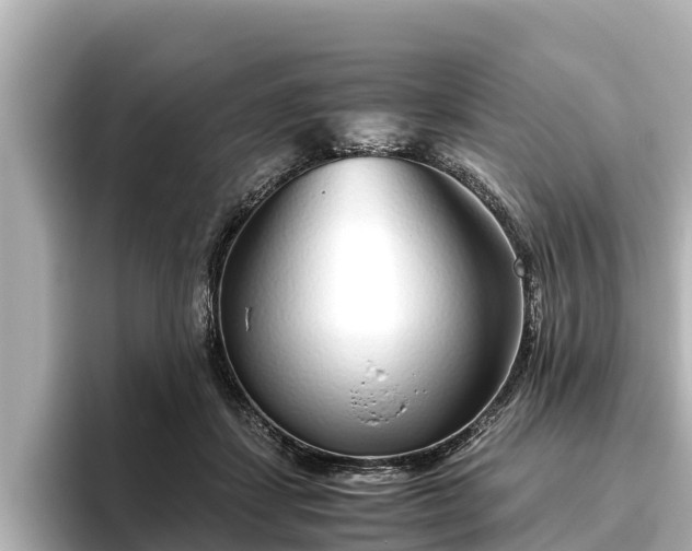 X0000096420459200801311416