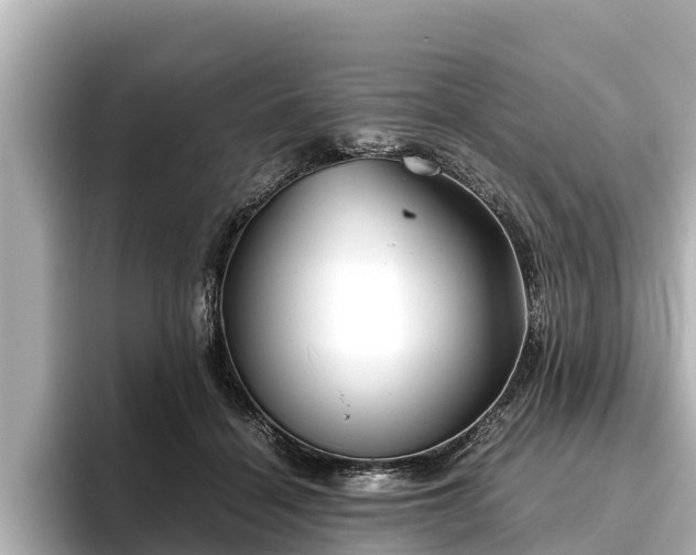 X0000096420460200801311416