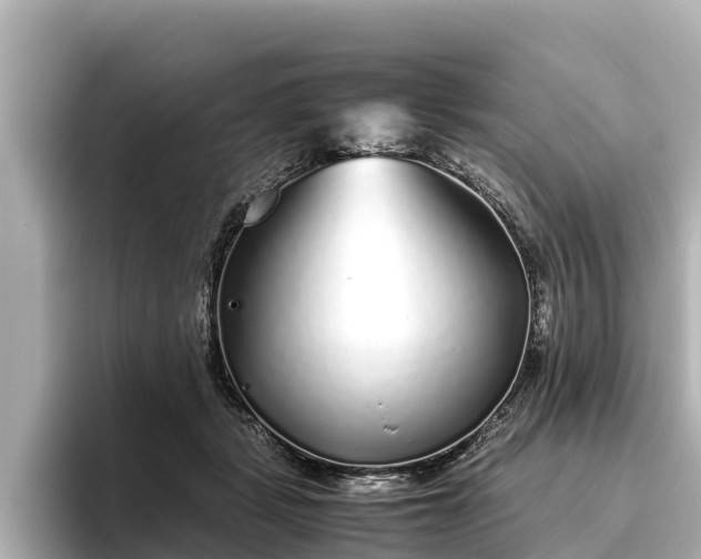 X0000096420461200801311416