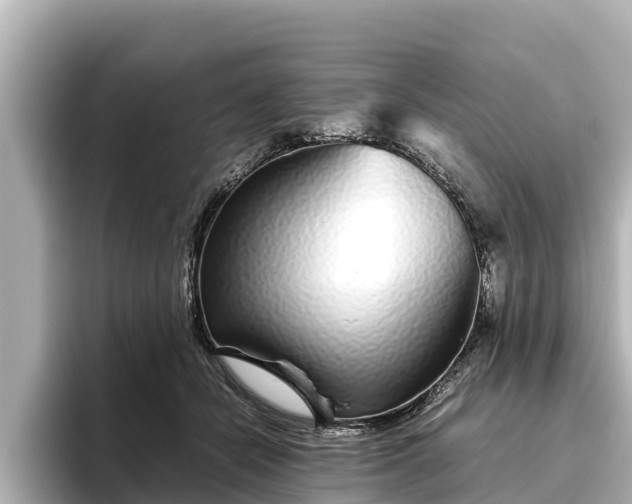 X0000096420462200801311416