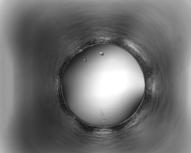 X0000096420463200801311416