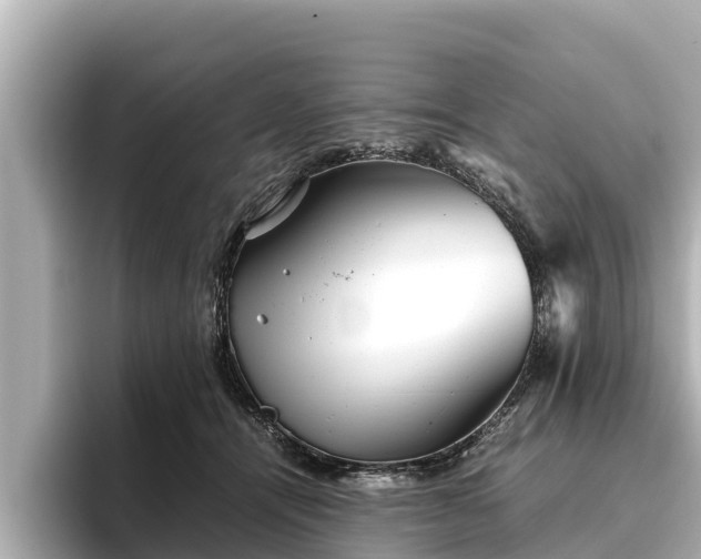 X0000096420464200801311416