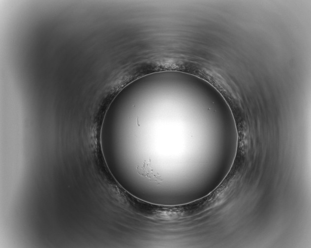 X0000096420466200801311416