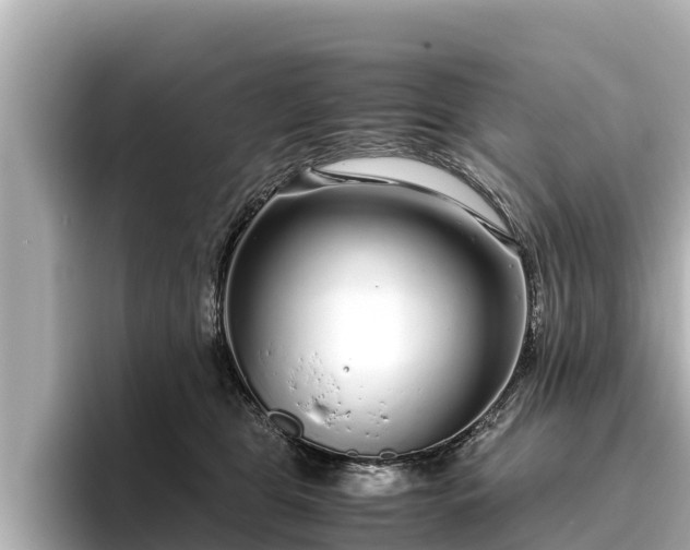 X0000096420469200801311416