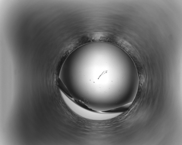 X0000096420470200801311416