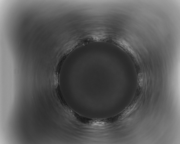 X0000096420471200801311416