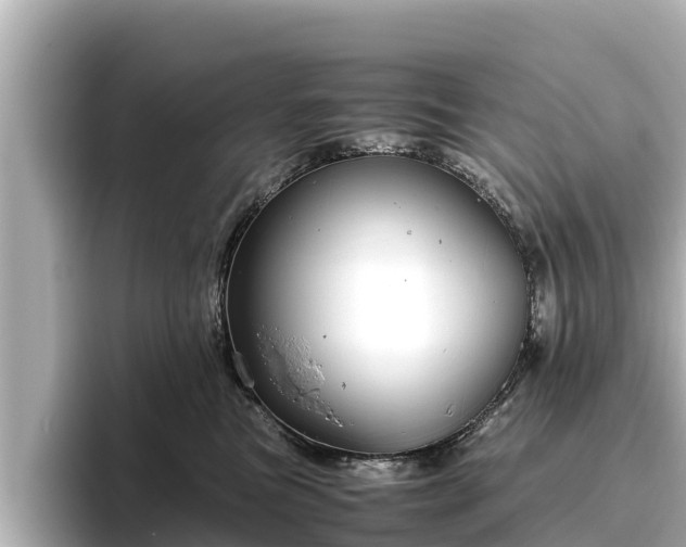 X0000096420473200801311416