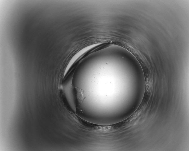 X0000096420474200801311416