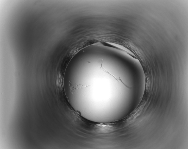 X0000096420477200801311416