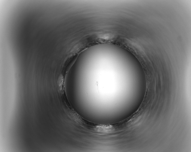 X0000096420480200801311416