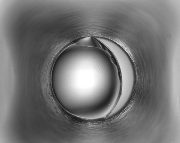 X0000096420481200801311415