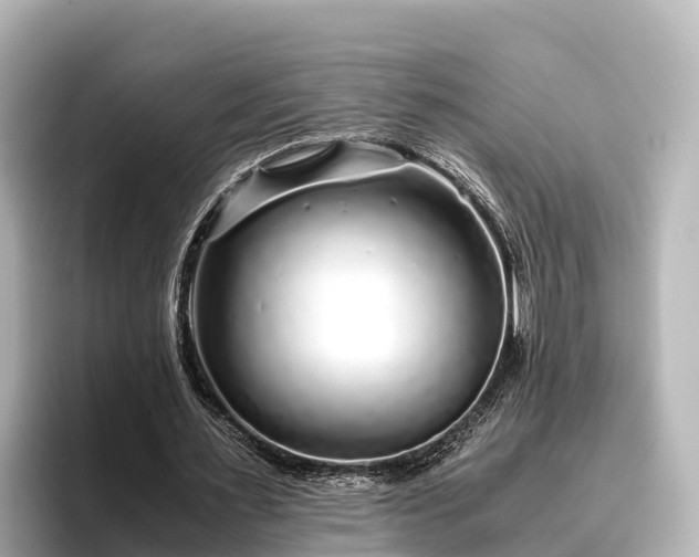 X0000096420483200801311415
