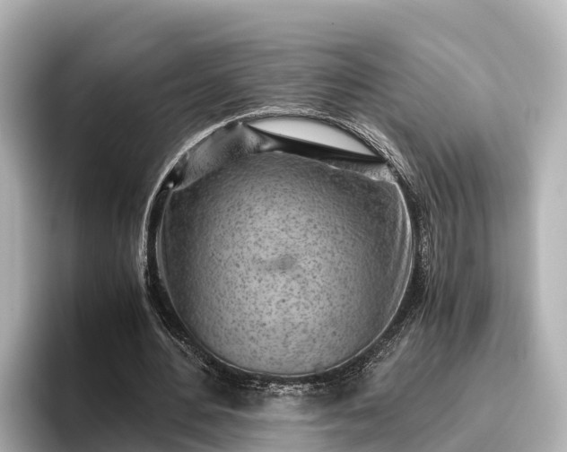 X0000096420484200801311415