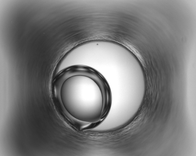 X0000096420485200801311415