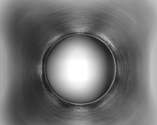 X0000096420486200801311415