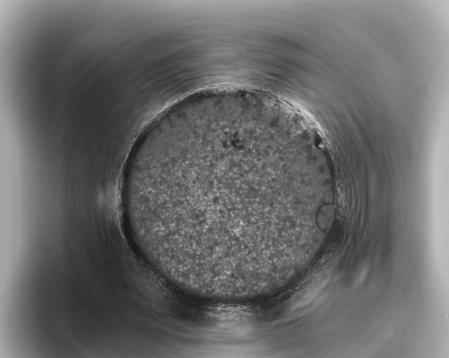 X0000096420487200801311415