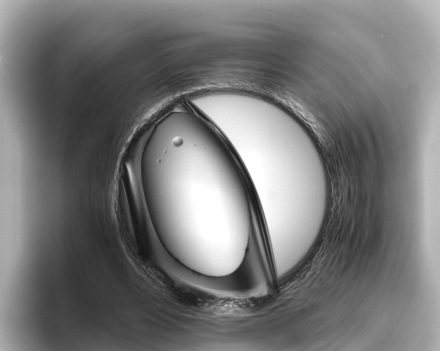 X0000096420488200801311415