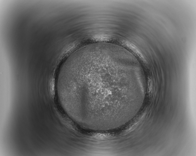 X0000096420494200801311415