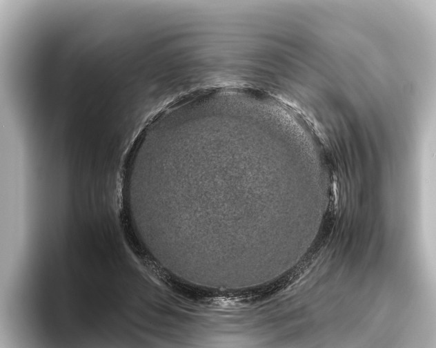 X0000096420496200801311415