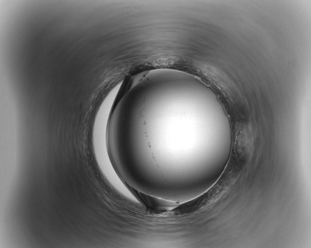 X0000096420501200801311415