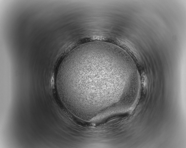 X0000096420502200801311415