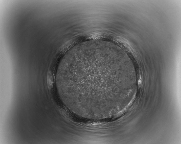 X0000096420503200801311415