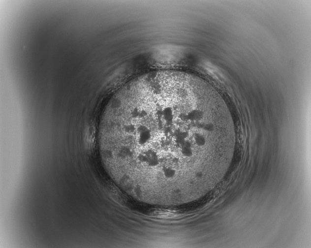 X0000096420507200801311415