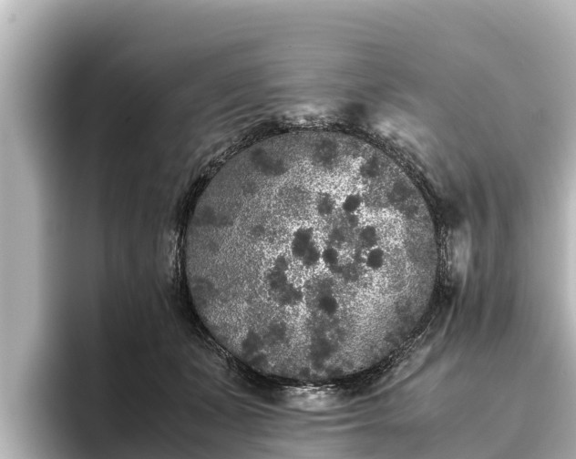 X0000096420511200801311415